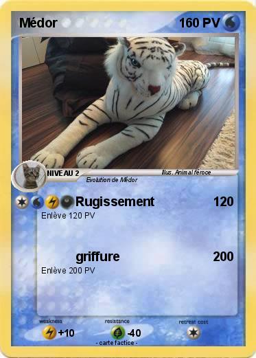 Pokemon Médor