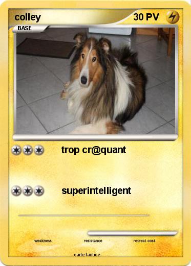 Pokemon colley