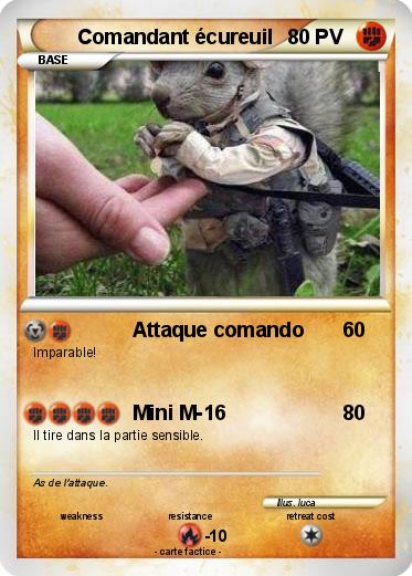 Pokemon Comandant écureuil