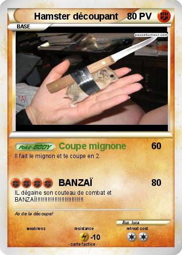 Pokemon Hamster découpant