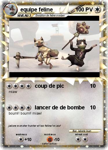 Pokemon equipe feline