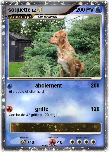 Pokemon soquette