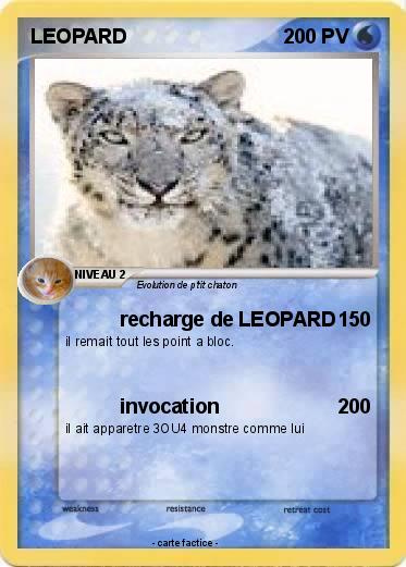 Pokemon LEOPARD
