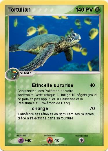 Pokemon Tortulian