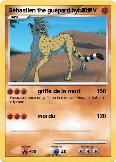 Pokemon Sébastien the guépard hybride