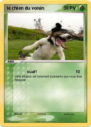 Pokemon le chien du voisin