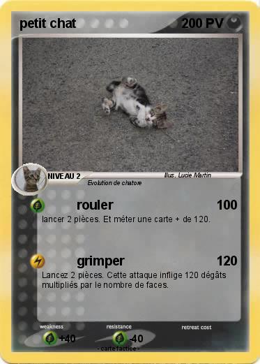 Pokemon petit chat