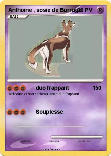 Pokemon Anthoine , sosie de Burruge