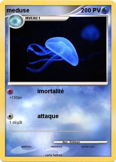 Pokemon meduse