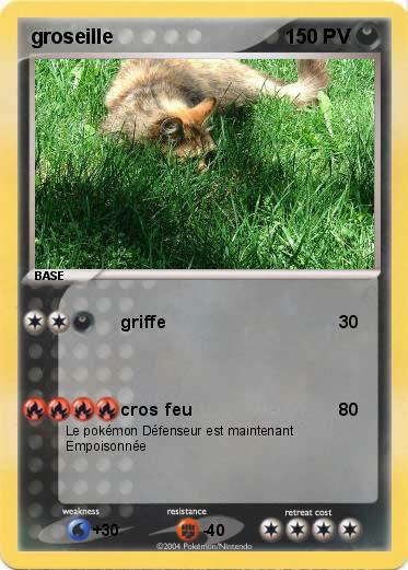 Pokemon groseille