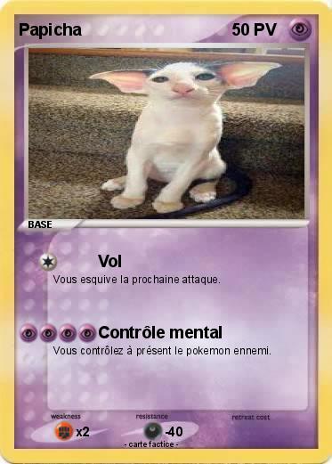 Pokemon Papicha