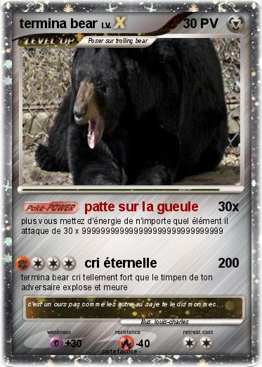 Pokemon termina bear