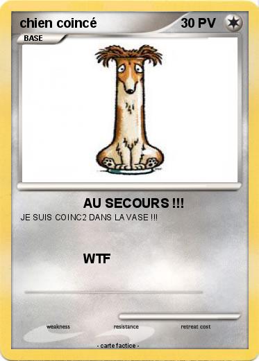 Pokemon chien coincé