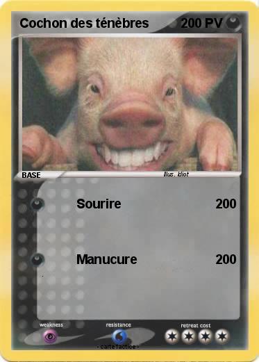 Pokemon Cochon des ténèbres