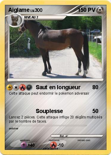 Pokemon Aiglame