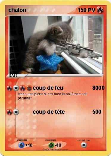 Pokemon chaton                                                                                                                                                   chaton                                                                      00