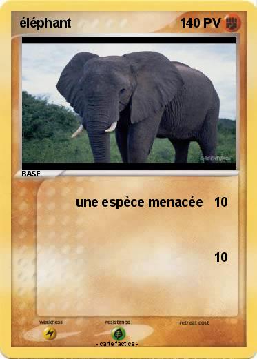 Pokemon éléphant