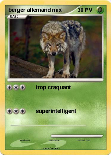 Pokemon berger allemand mix