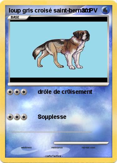 Pokemon loup gris croisé saint-bernard