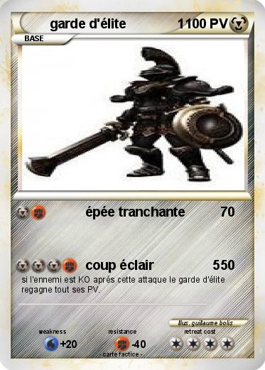 Pokemon garde d'élite              1