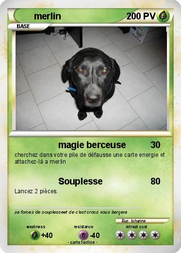 Pokemon merlin