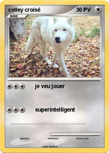 Pokemon colley croisé