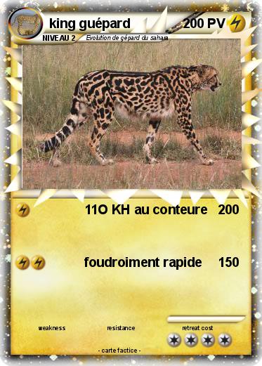 Pokemon king guépard