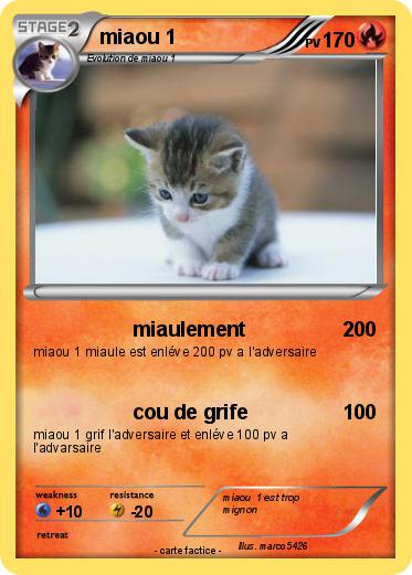 Pokemon miaou 1