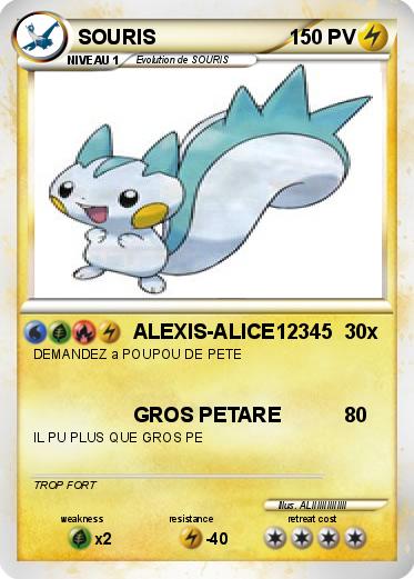 Pokemon SOURIS