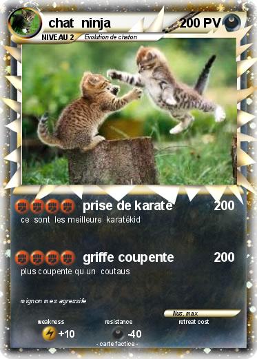 Pokemon chat  ninja