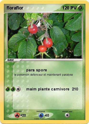 Pokemon floraflor