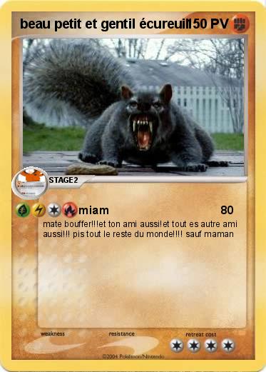 Pokemon beau petit et gentil écureuil 
