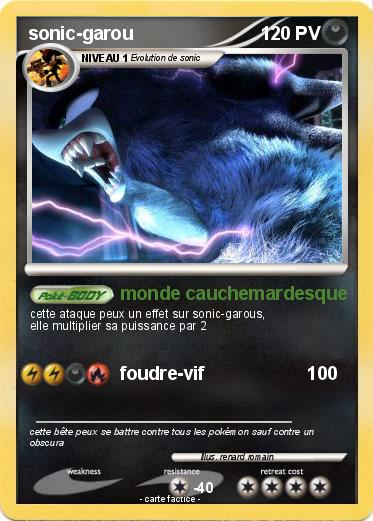 Pokemon sonic-garou
