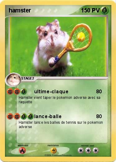 Pokemon hamster