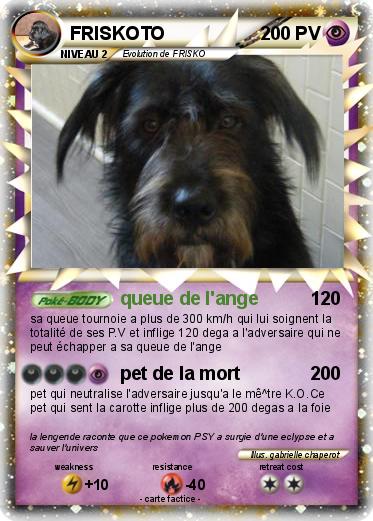 Pokemon FRISKOTO