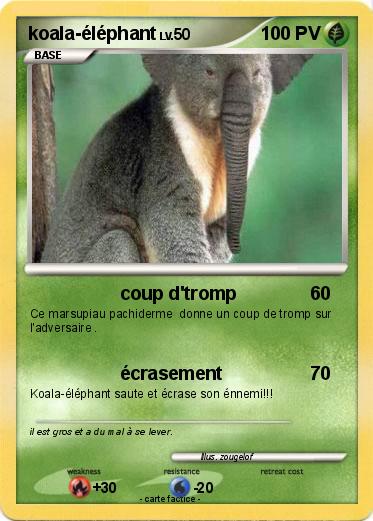 Pokemon koala-éléphant