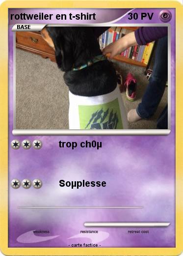 Pokemon rottweiler en t-shirt