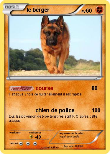 Pokemon le berger