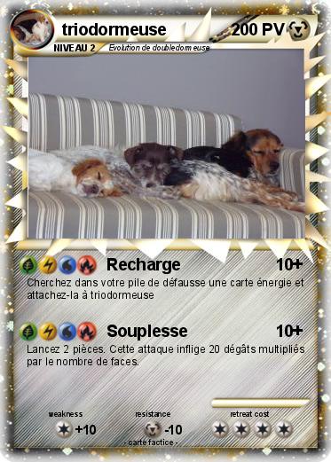 Pokemon triodormeuse