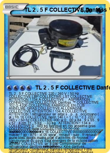 Pokemon TL 2 . 5 F COLLECTIVE Danfoss ™