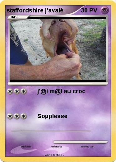 Pokemon staffordshire j'avalé