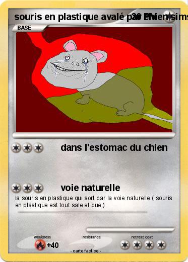 Pokemon souris en plastique avalé par chien sims
