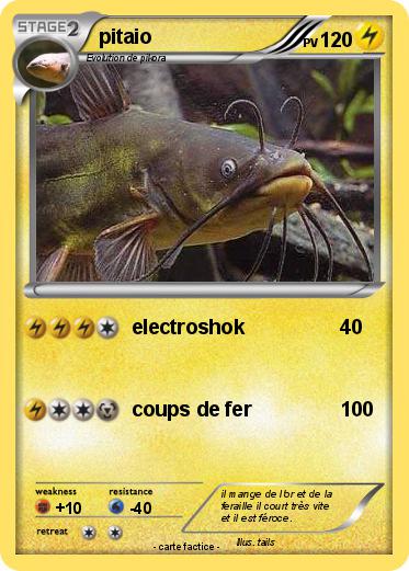 Pokemon pitaio