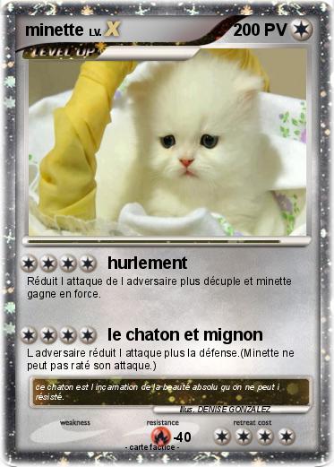 Pokemon minette