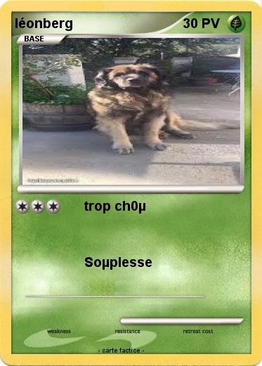 Pokemon léonberg