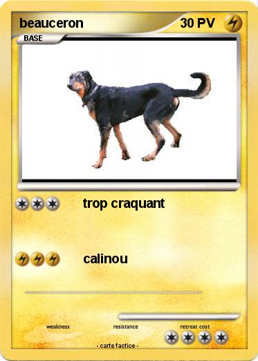 Pokemon beauceron