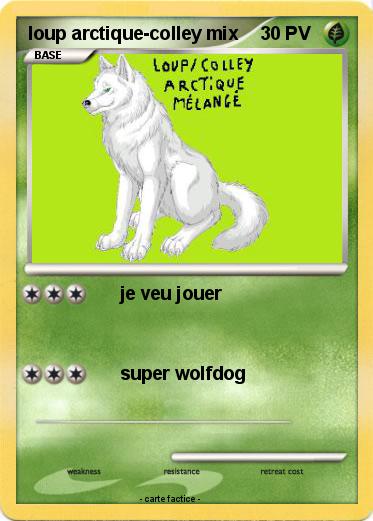Pokemon loup arctique-colley mix