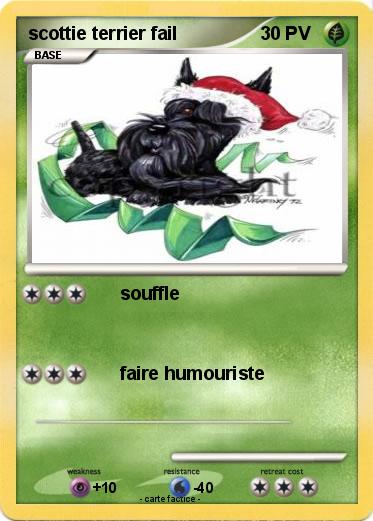 Pokemon scottie terrier fail