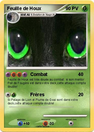 Pokemon Feuille de Houx