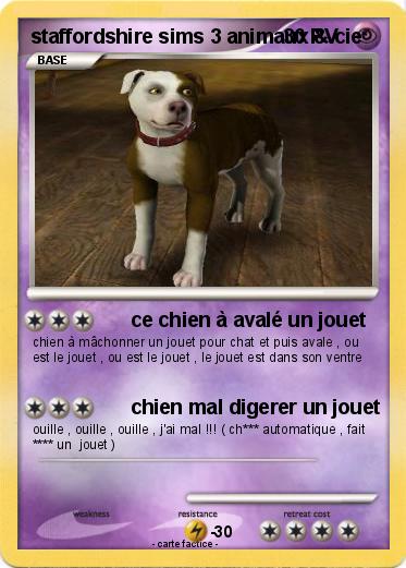 Pokemon staffordshire sims 3 animaux & cie